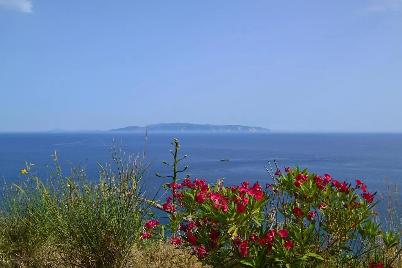 Kefalonia Apartments - Marias Studios In Spartia