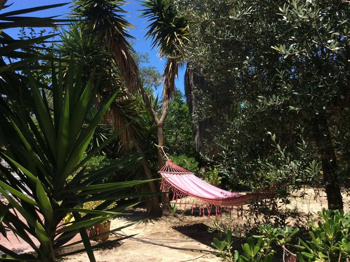 Kefalonia Apartments - Marias Studios In Spartia